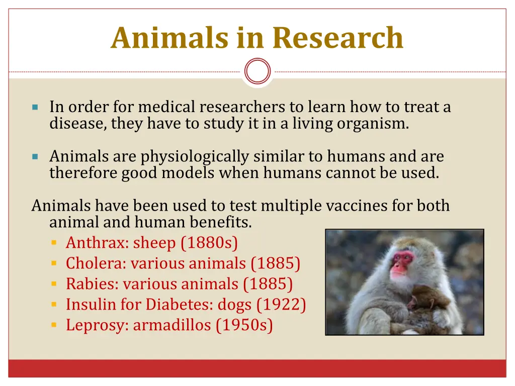 animals in research 1