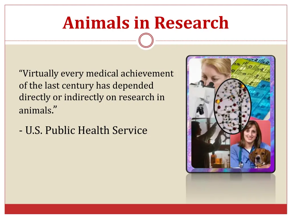 animals in research