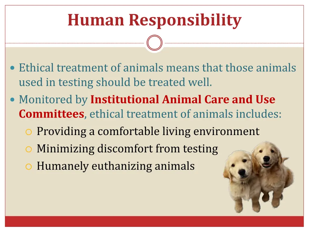 human responsibility