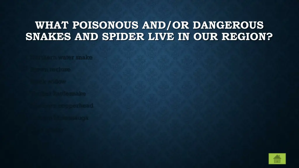 what poisonous and or dangerous snakes and spider