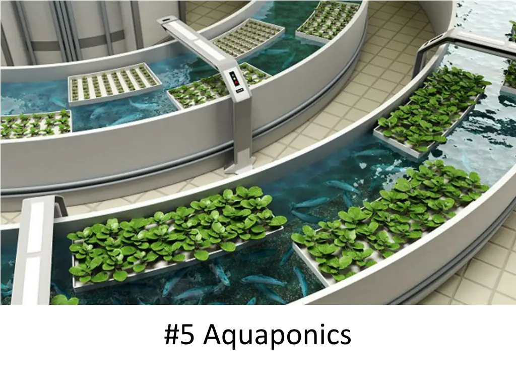 5 aquaponics