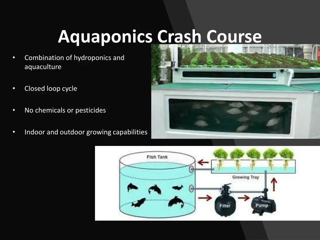 aquaponics crash course 1