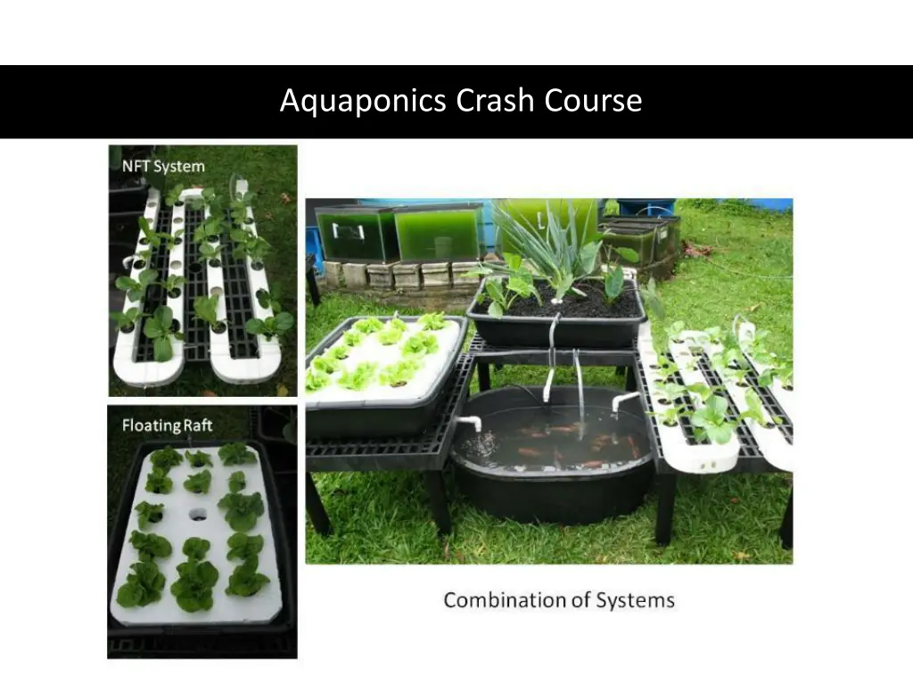 aquaponics crash course 2