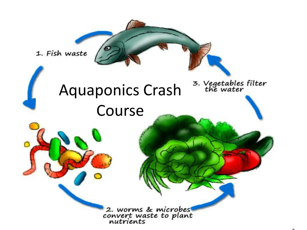 aquaponics crash course