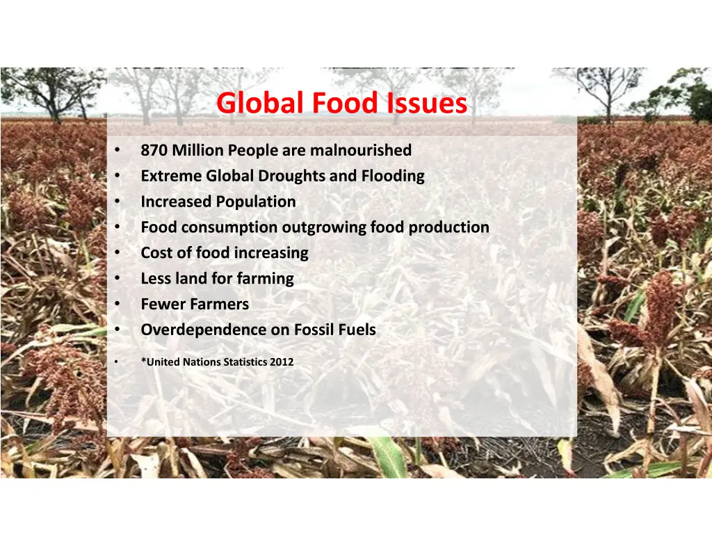 global food issues