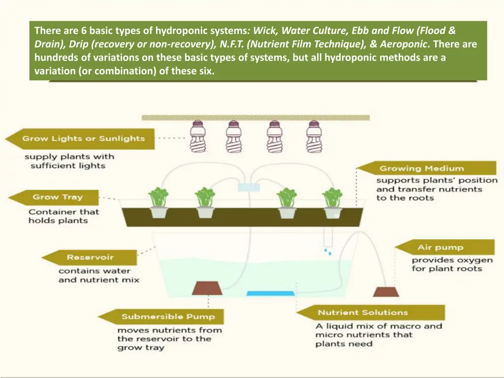 there are 6 basic types of hydroponic systems