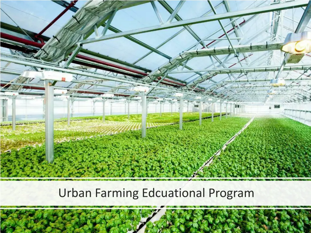 urban farming edcuational program