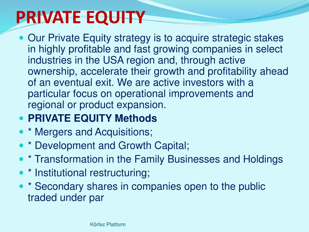 private equity our private equity strategy