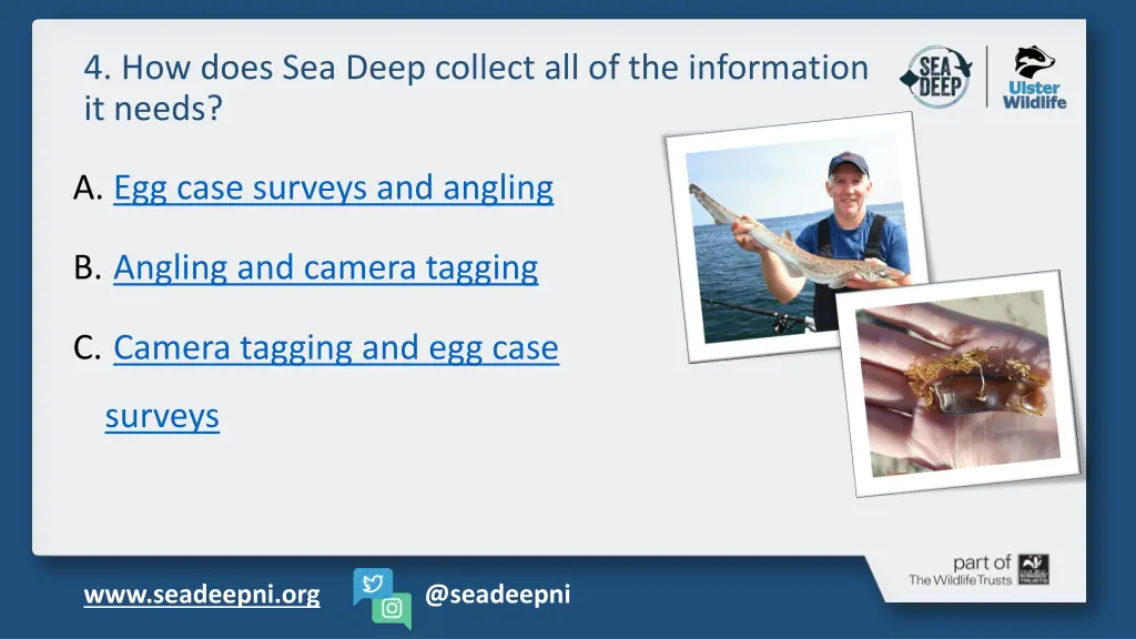 4 how does sea deep collect