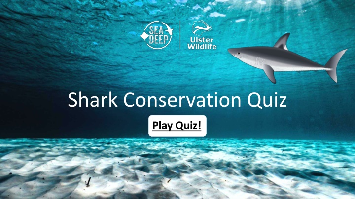 shark conservation quiz