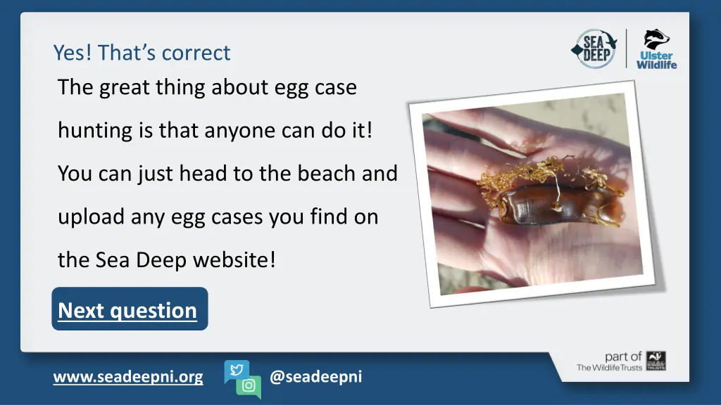 yes that s correct the great thing about egg case