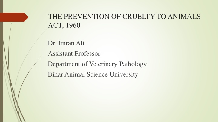 the prevention of cruelty to animals act 1960