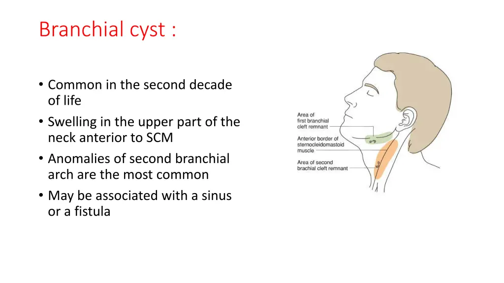 branchial cyst