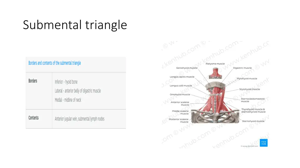 submental triangle