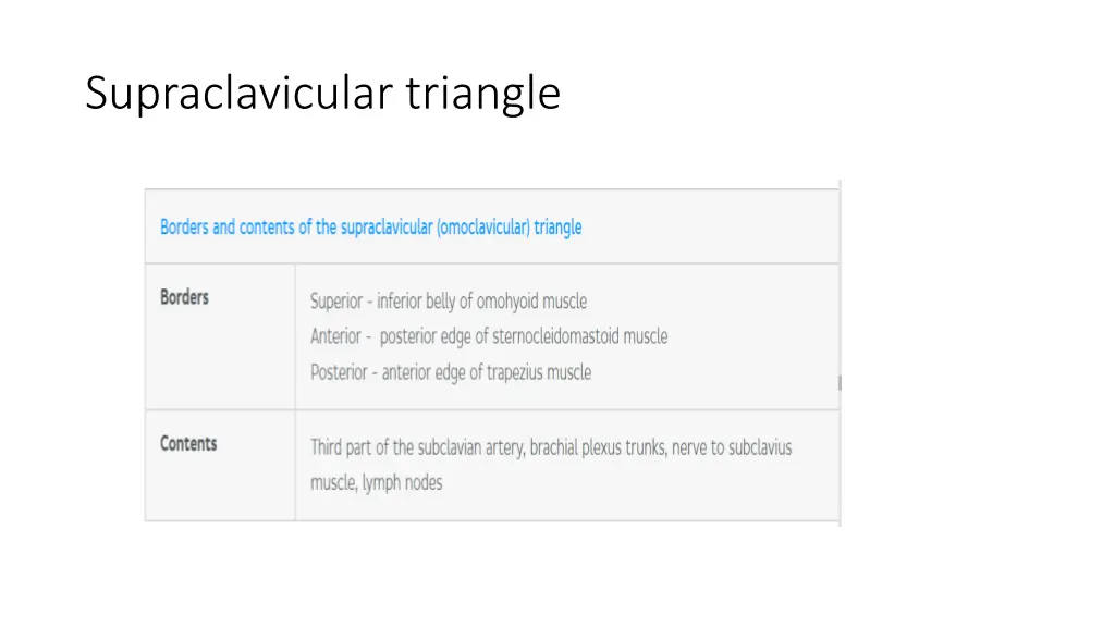 supraclavicular triangle