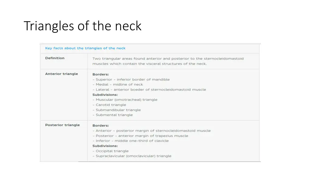 triangles of the neck