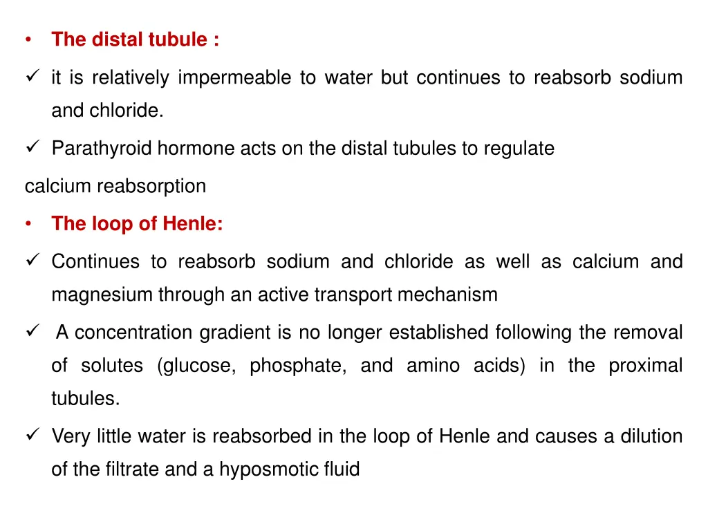 the distal tubule