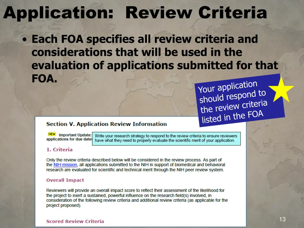 application review criteria