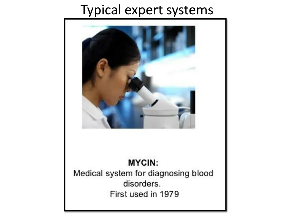 typical expert systems