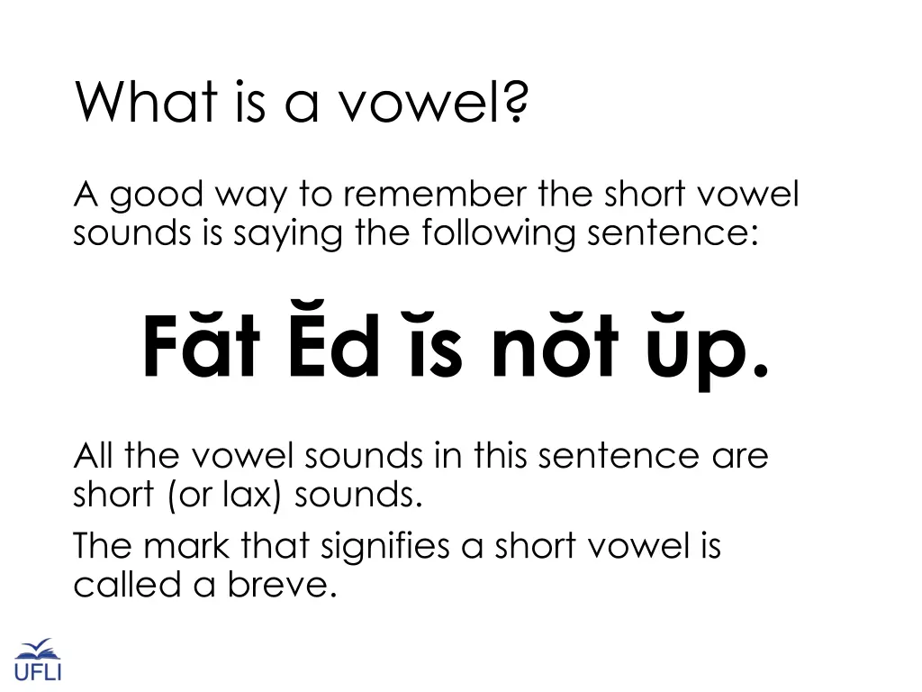 what is a vowel 3