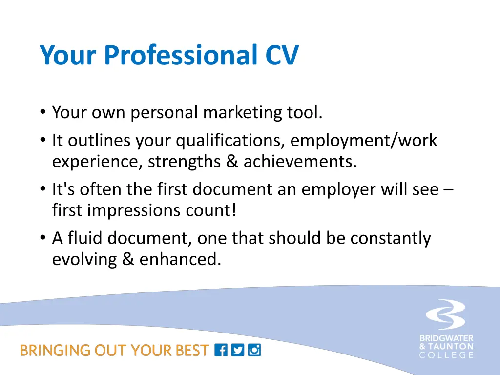 your professional cv