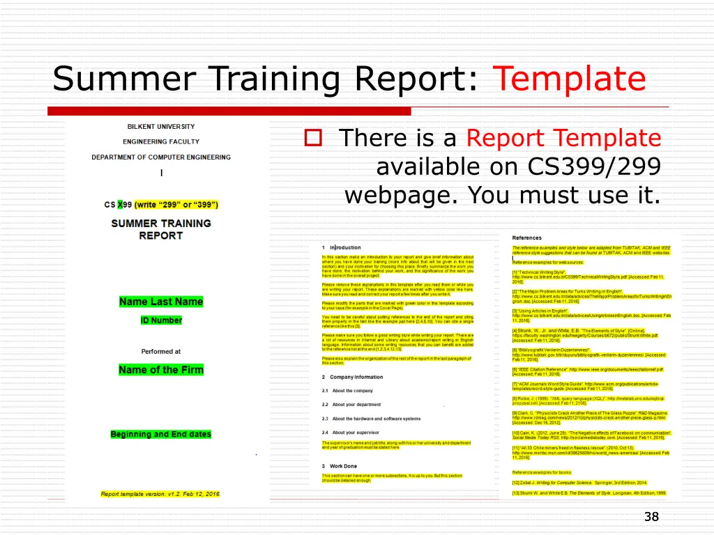 summer training report template