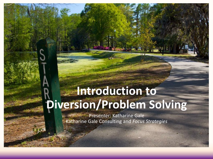 introduction to diversion problem solving