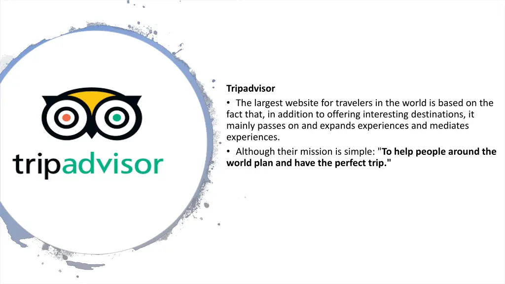 tripadvisor the largest website for travelers