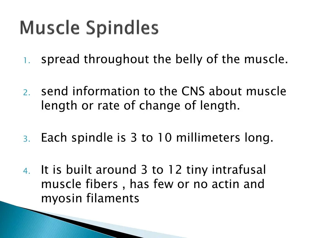 1 spread throughout the belly of the muscle