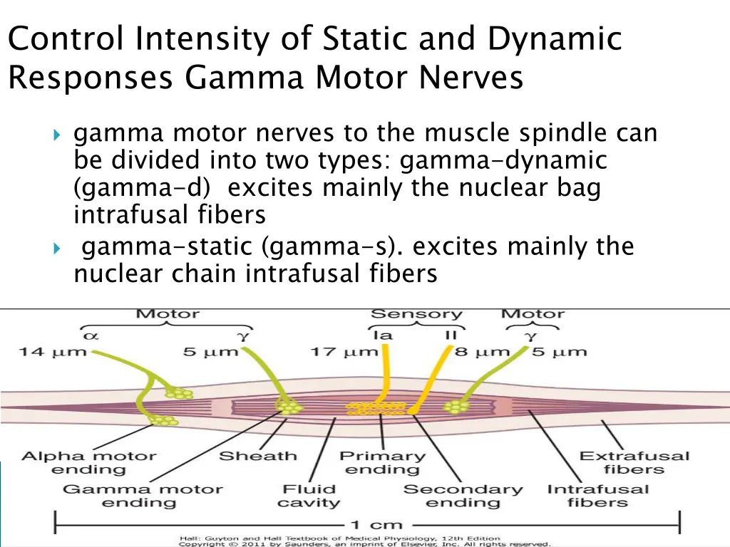 control intensity of static and dynamic responses