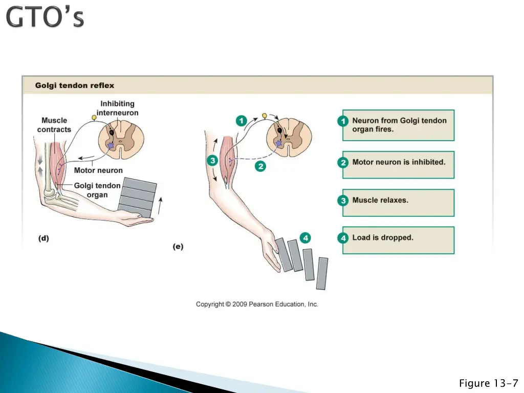 figure 13 7