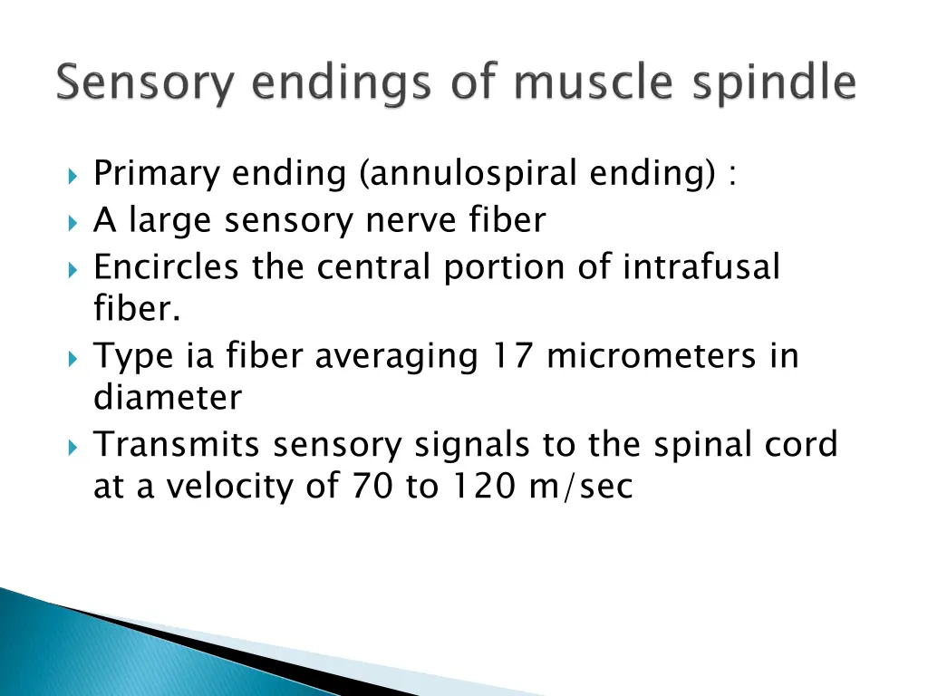 primary ending annulospiral ending a large