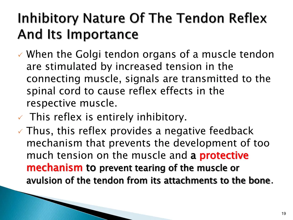 when the golgi tendon organs of a muscle tendon