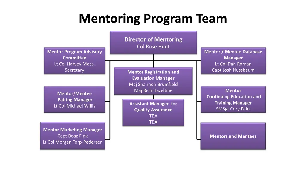 mentoring program team