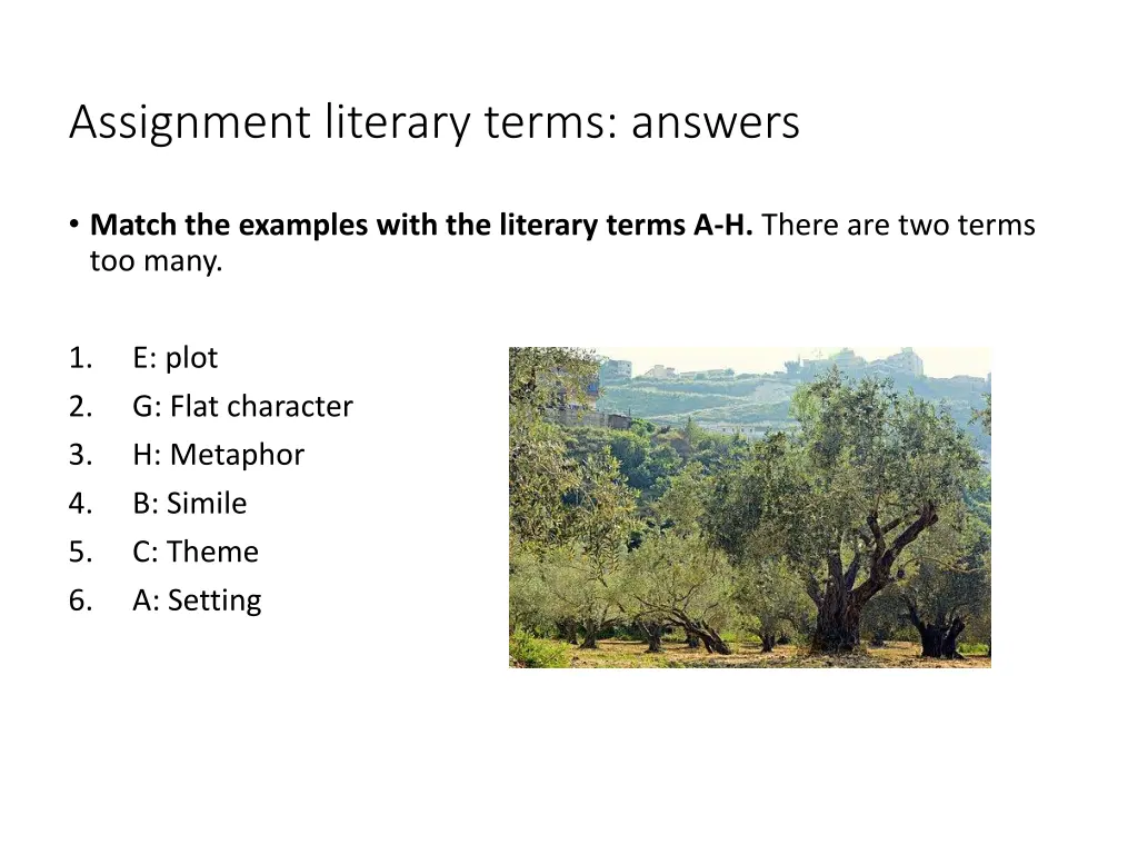 assignment literary terms answers