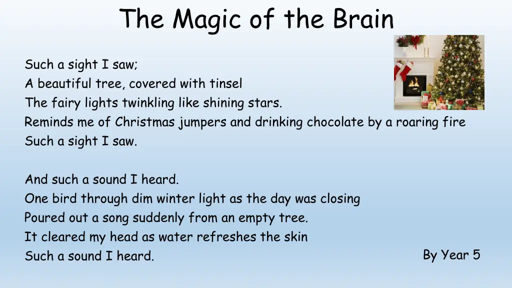 the magic of the brain 1