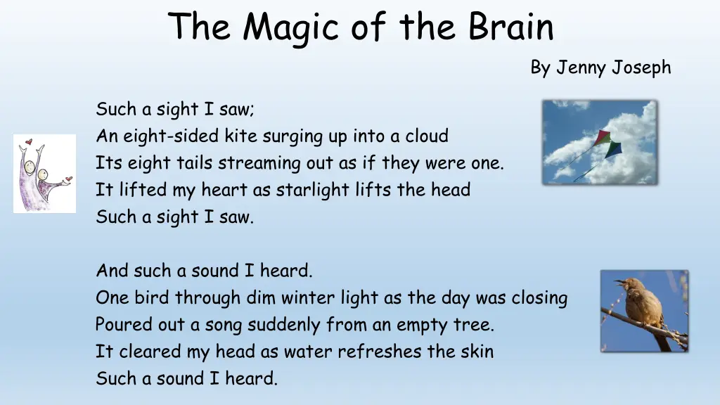 the magic of the brain