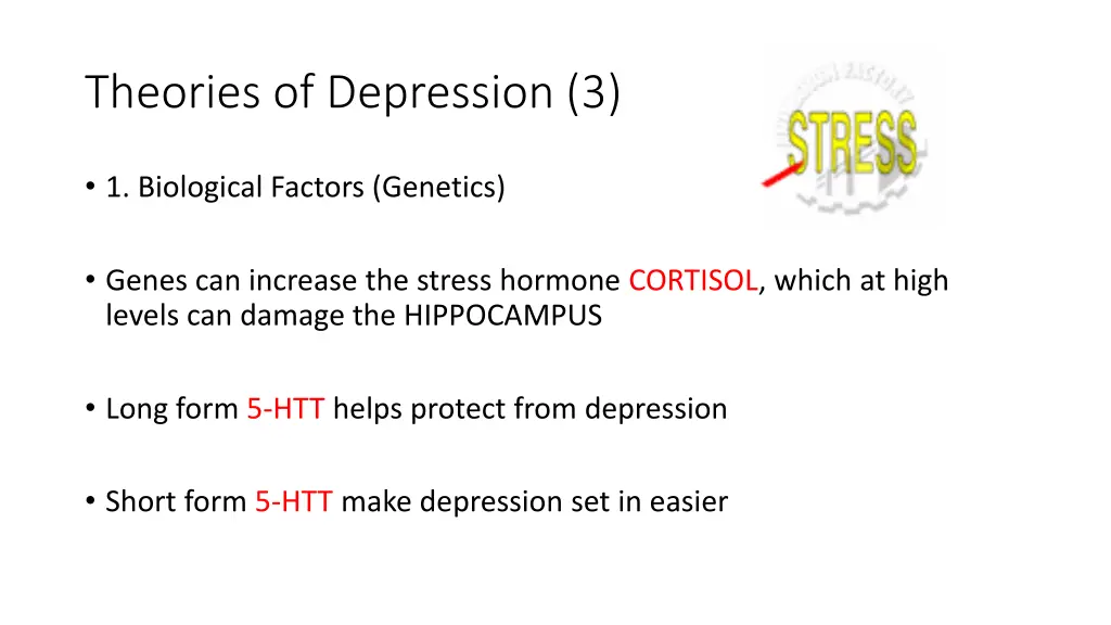 theories of depression 3