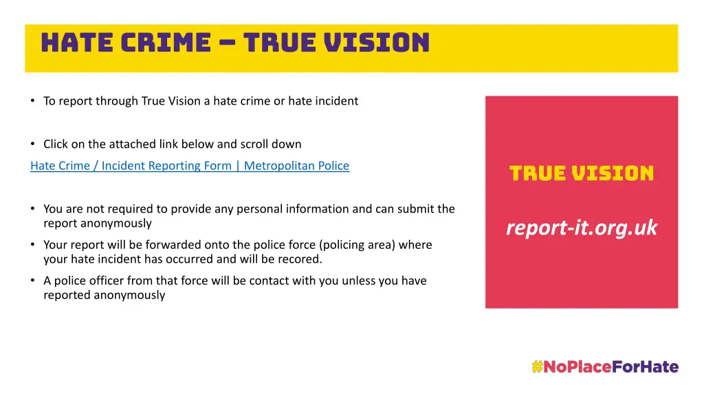 hate crime true vision 3