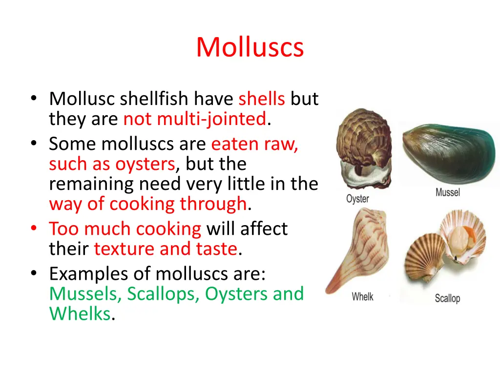 molluscs