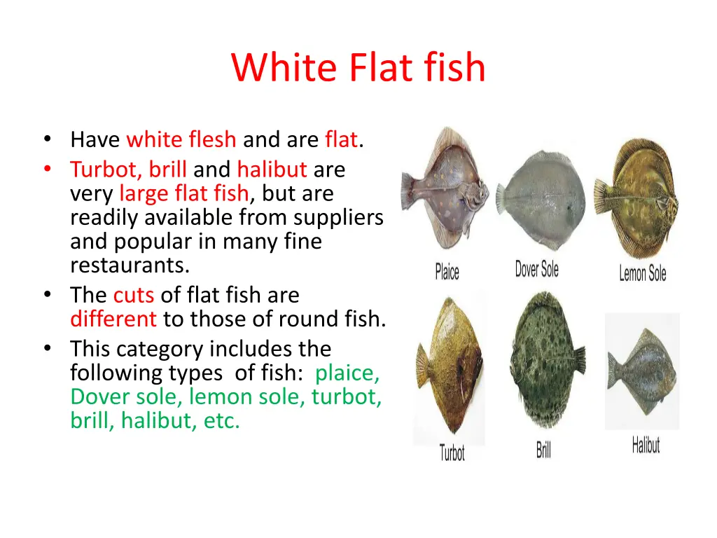 white flat fish