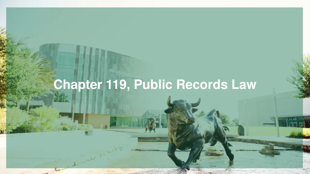 chapter 119 public records law