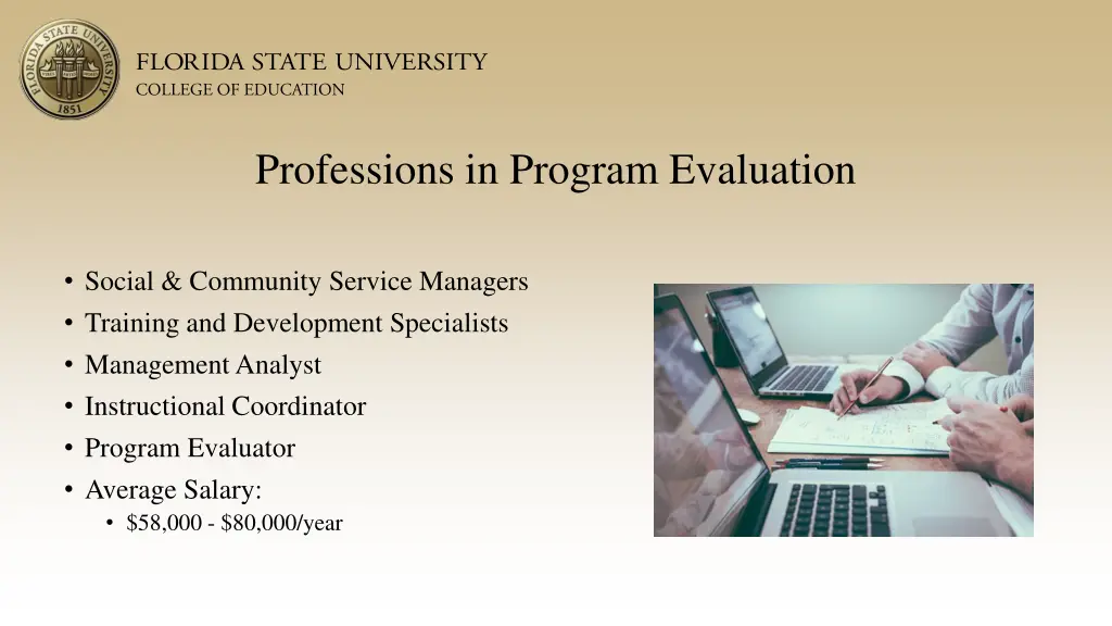 professions in program evaluation