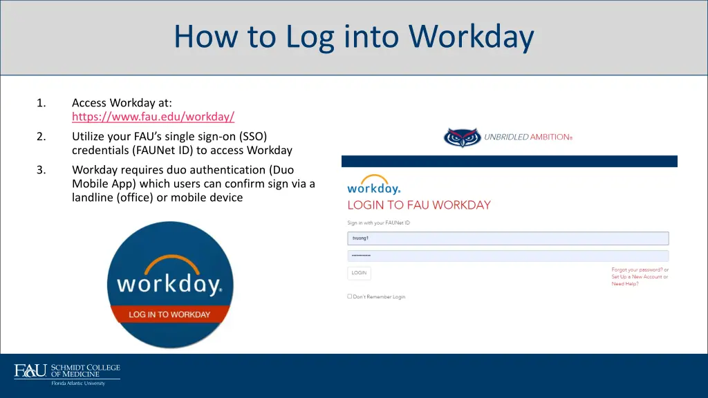 how to log into workday