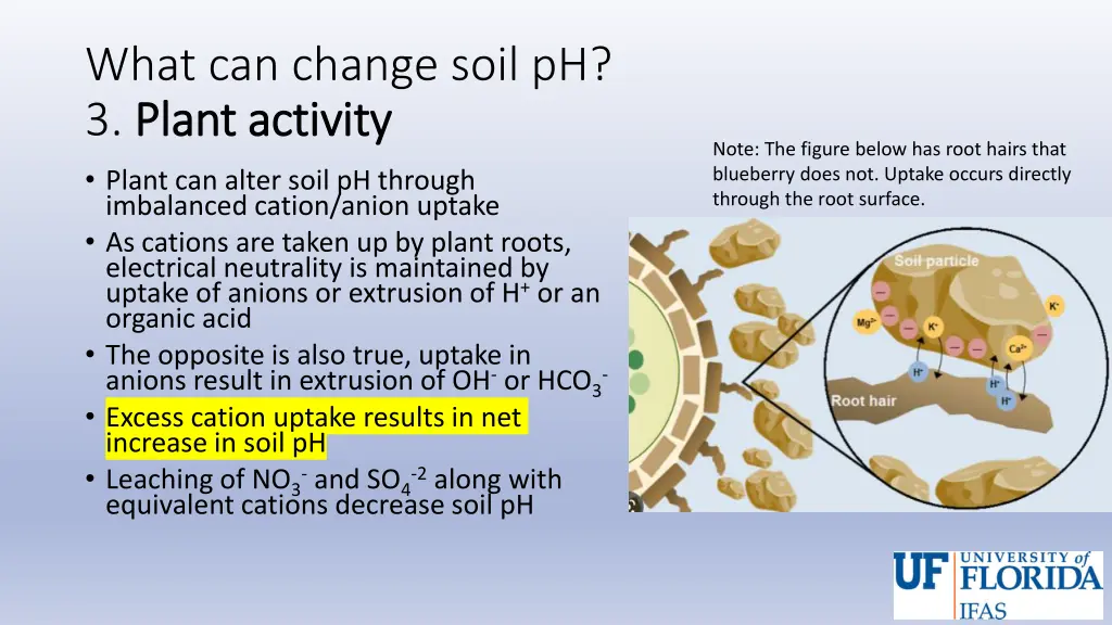 what can change soil ph 3 plant activity plant