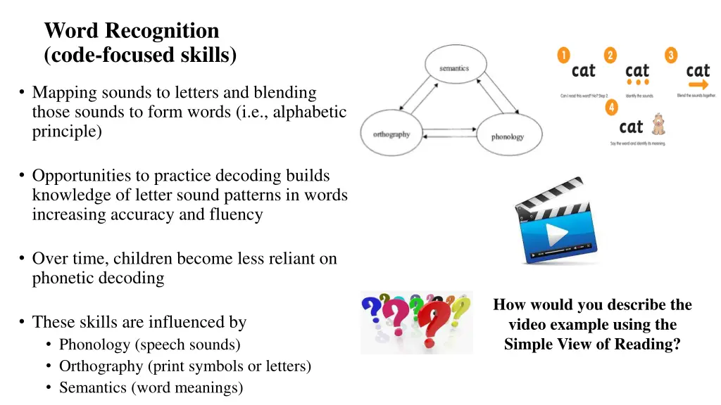 word recognition code focused skills