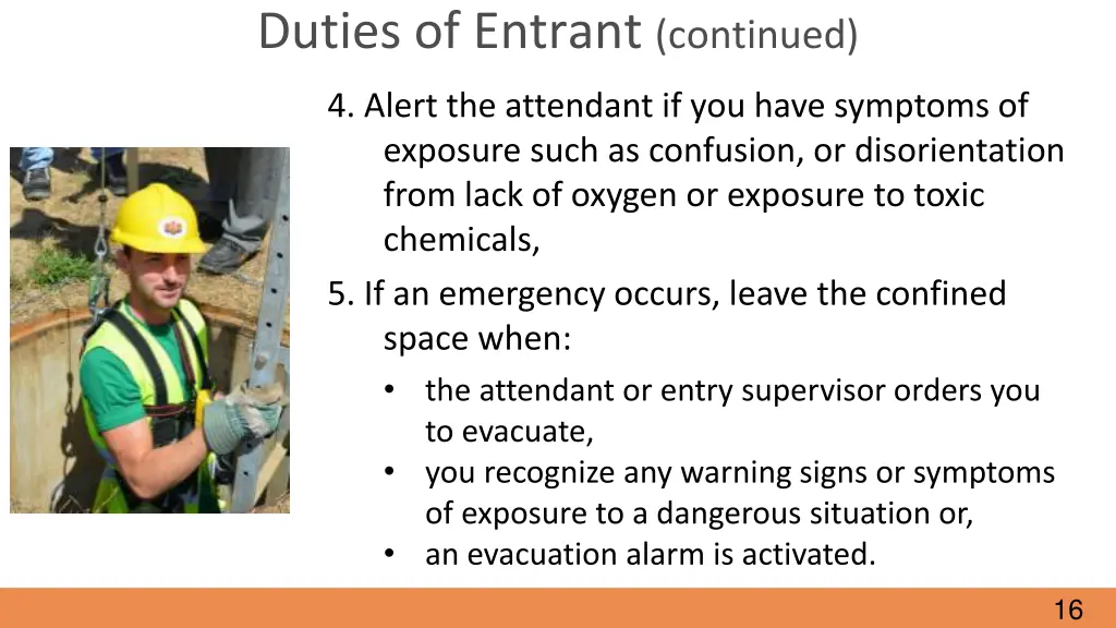 duties of entrant continued