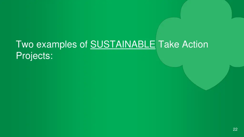 two examples of sustainable take action projects