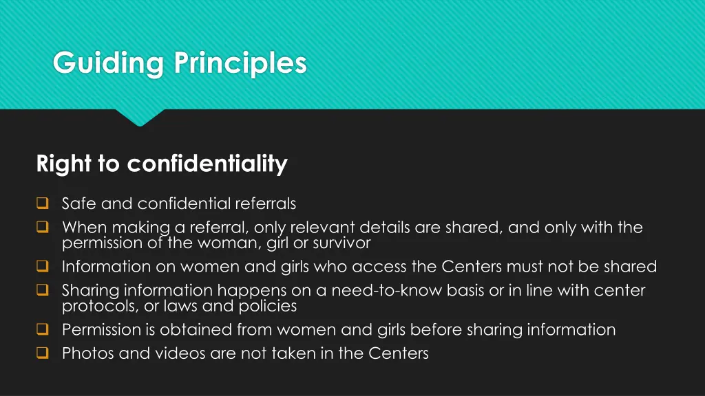 guiding principles 1