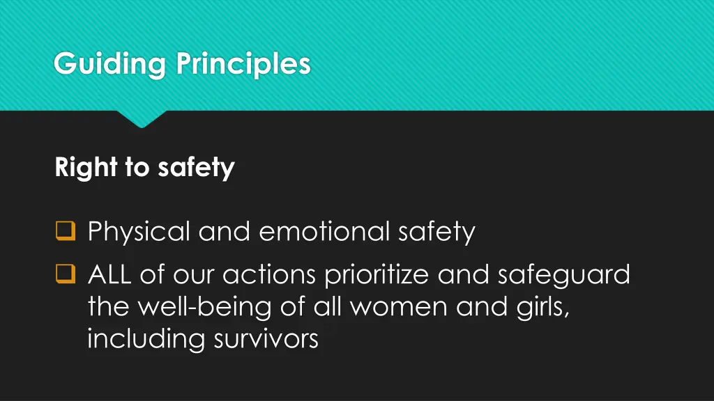 guiding principles